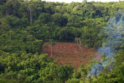 Desmatamento no Amazonas cai 57% em 2026, mas verão amazônico pode testar essa conquista