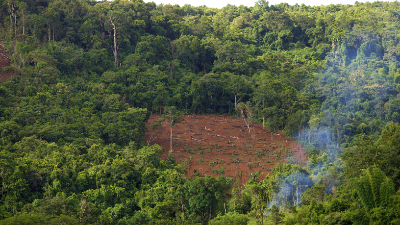 Desmatamento no Amazonas cai 57% em 2026, mas verão amazônico pode testar essa conquista