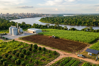 Plano Safra 2026/27: o que muda para produtores do Amazonas e por que Manaus deve acompanhar o novo pacote do governo