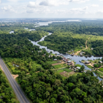 Brasil cria 4 reservas no Amazonas: o que muda para Manaus, a BR-319 e as comunidades da região