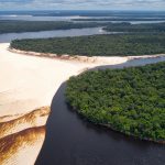Vista aérea de um rio amazônico com bancos de areia e floresta densa ao redor.