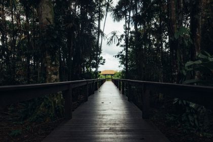 Ponte de madeira cercada por vegetação tropical em uma área rural.